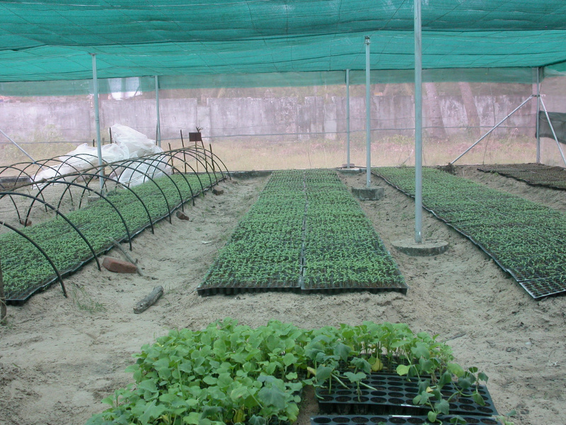 farmers_pf_02_nursery
