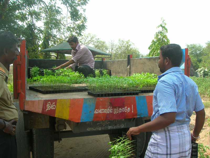 farmers_pf_03_seedling_distribution