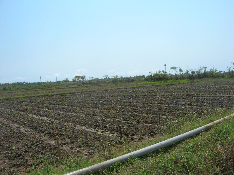 farmers_pf_04_land_preparation_and_planting